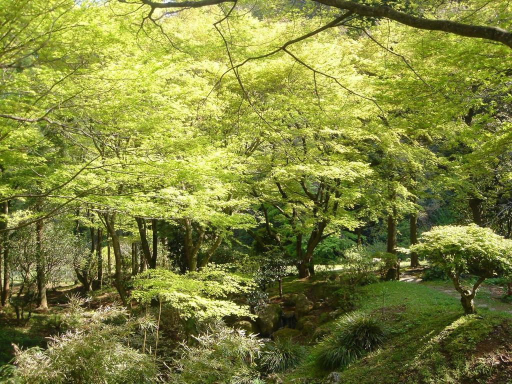 فندق يوغاوارافي  Kamata المظهر الخارجي الصورة